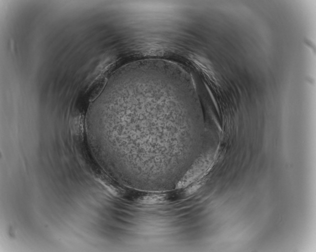 X0000095110172200712211328