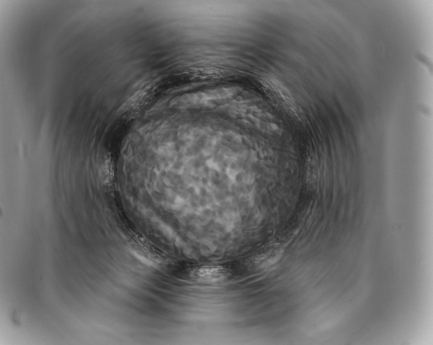 X0000095110173200712211328