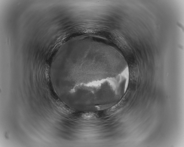 X0000095110175200712211329