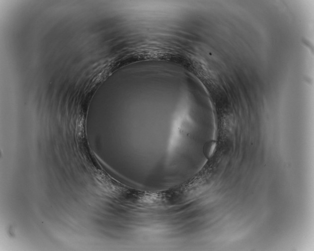 X0000095110177200712211329