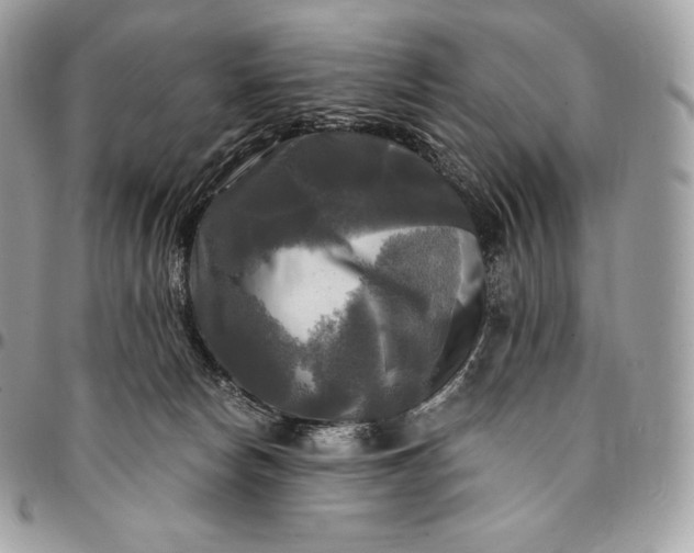 X0000095110178200712211329