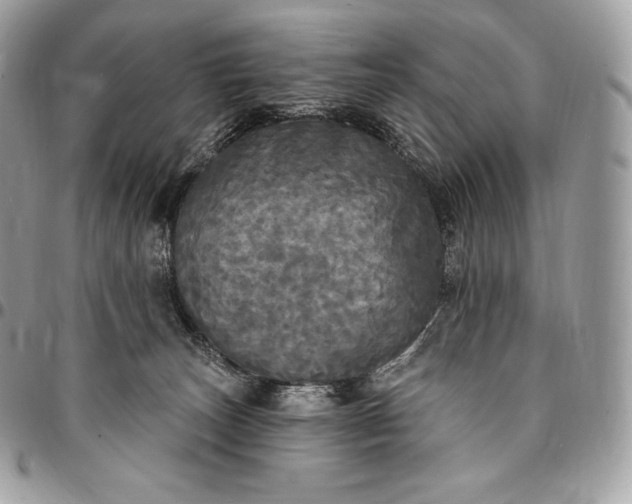 X0000095110179200712211329