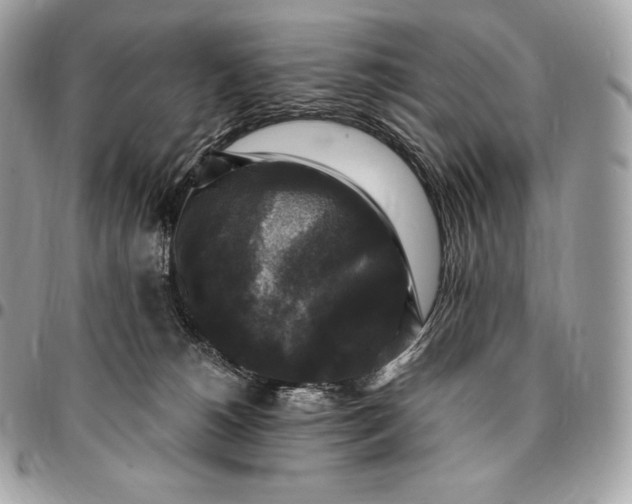 X0000095110180200712211329