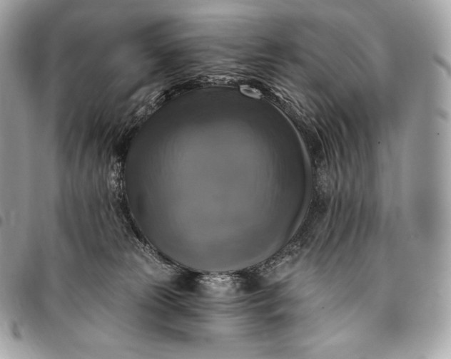 X0000095110181200712211329