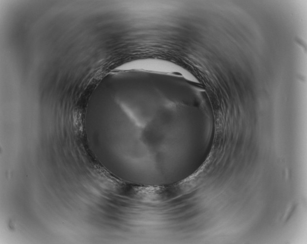 X0000095110182200712211329