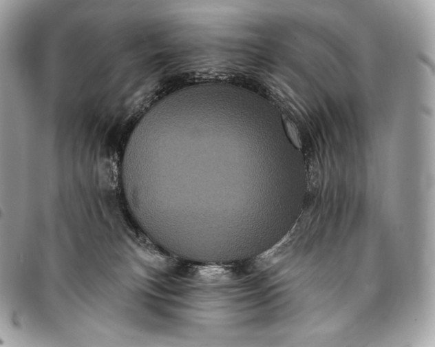 X0000095110183200712211329