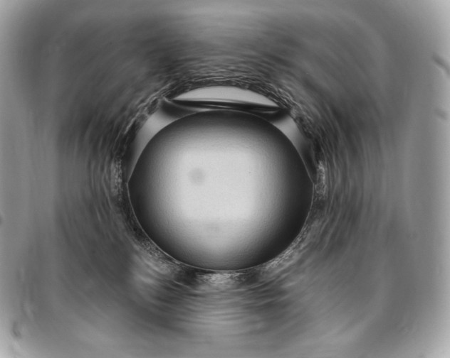 X0000095110184200712211329