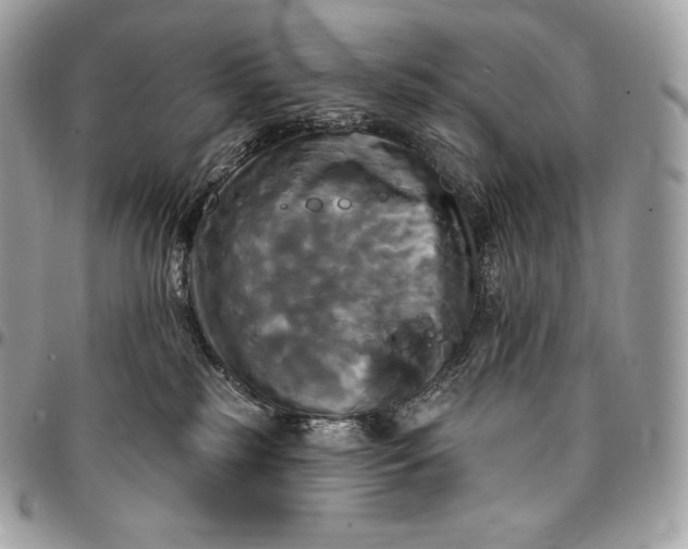 X0000095110185200712211329