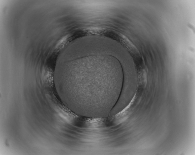 X0000095110186200712211329