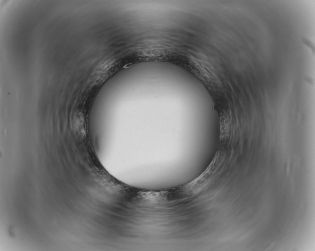 X0000095110187200712211329