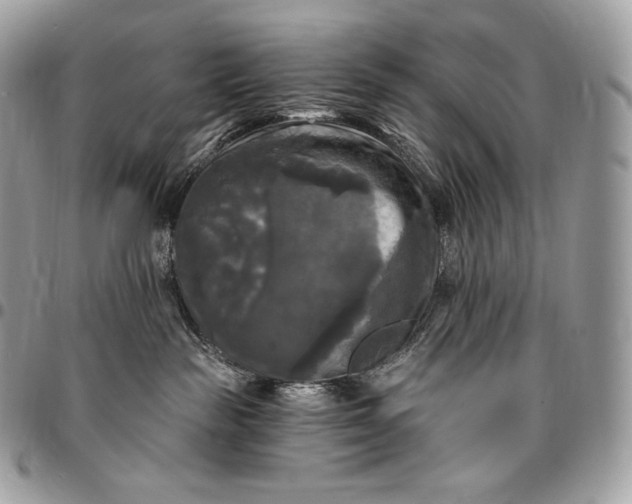 X0000095110189200712211329