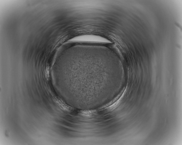 X0000095110190200712211329