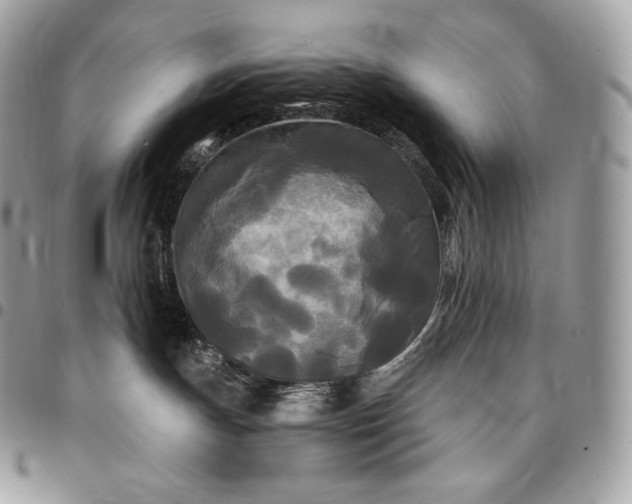 X0000095110191200712211329