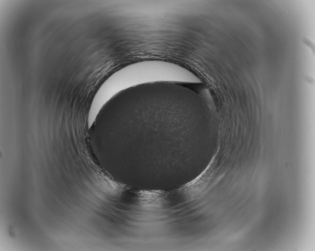 X0000095110192200712211329