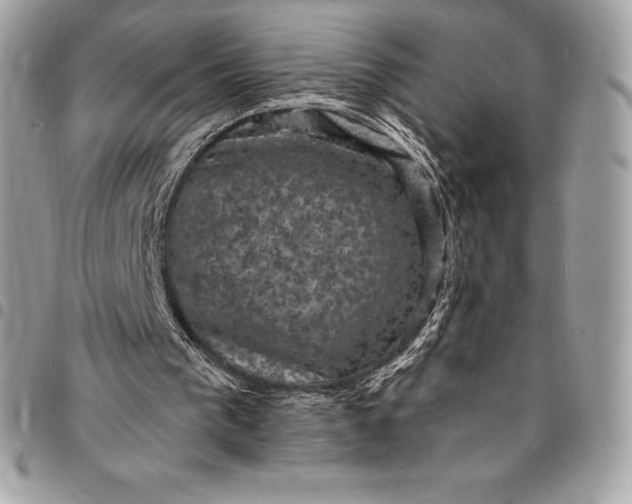 X0000095110193200712211328