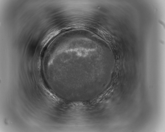 X0000095110194200712211328