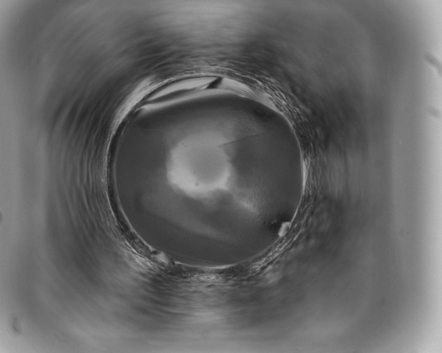 X0000095110195200712211328