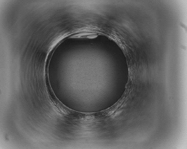 X0000095110196200712211328