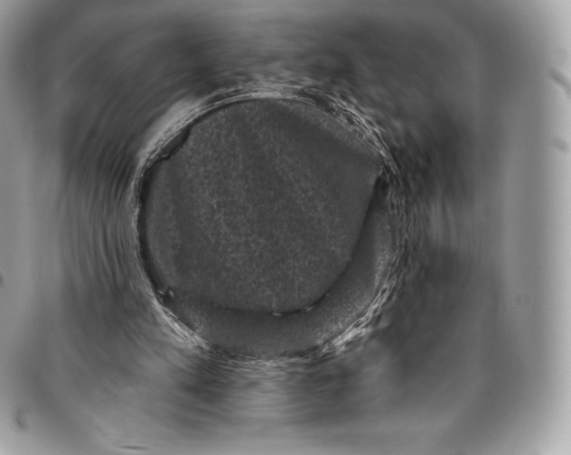 X0000095110197200712211328