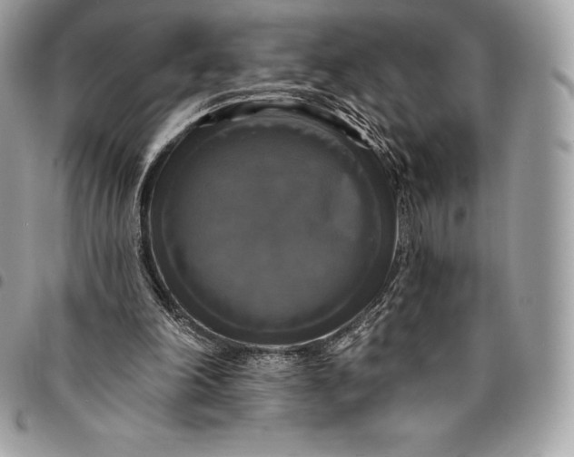 X0000095110198200712211328