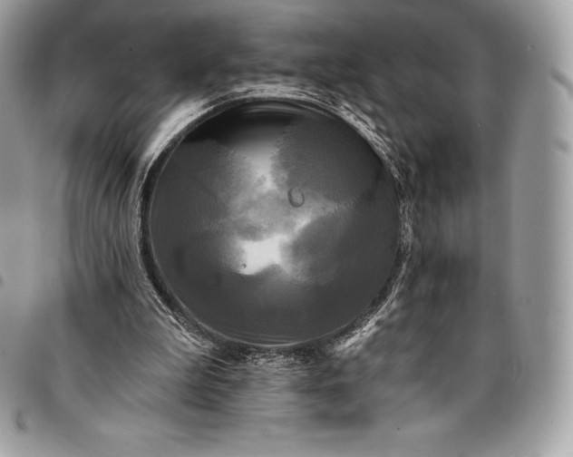 X0000095110199200712211328