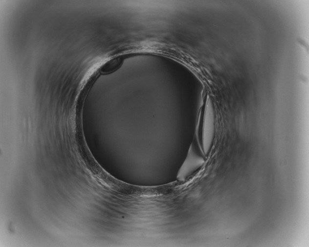 X0000095110200200712211328