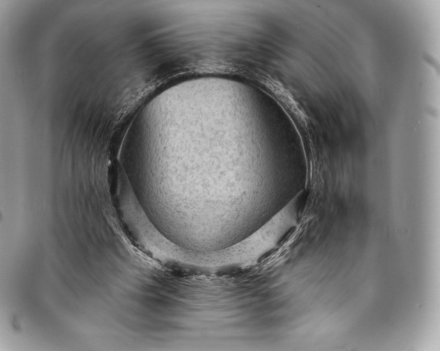 X0000095110201200712211328