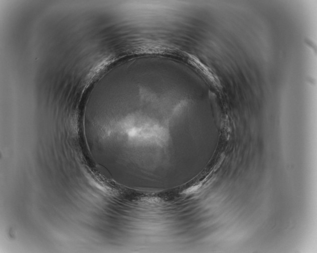 X0000095110203200712211328