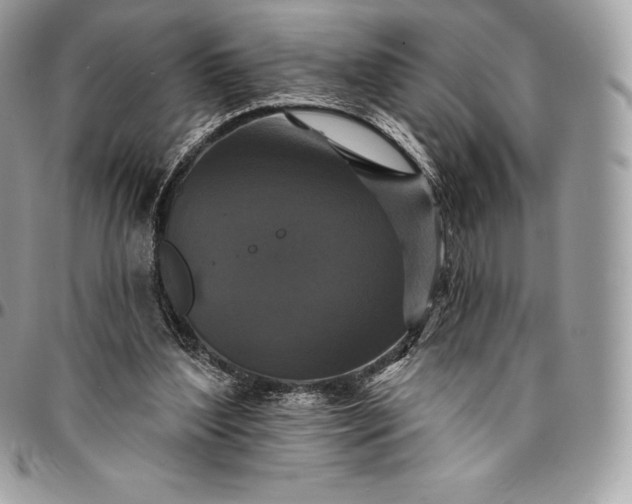 X0000095110204200712211328