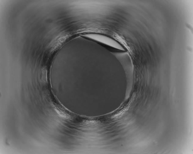 X0000095110205200712211328