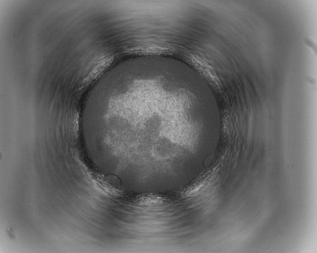 X0000095110206200712211328