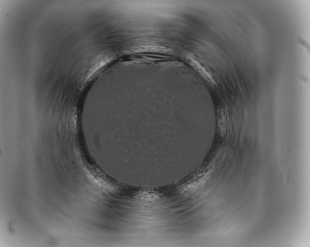 X0000095110207200712211328