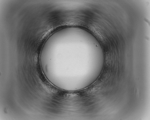 X0000095110208200712211328