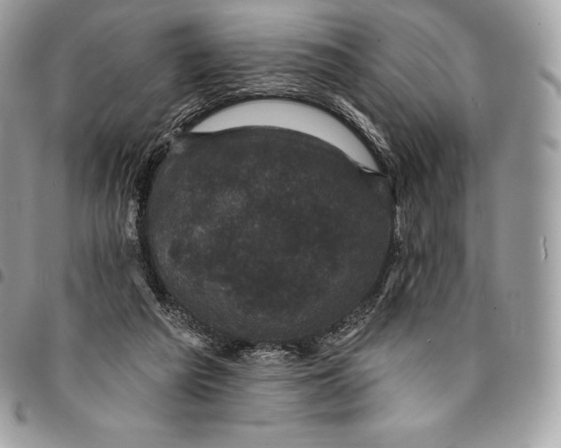 X0000095110209200712211328