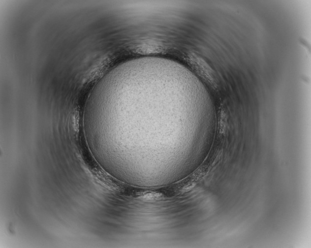 X0000095110210200712211328