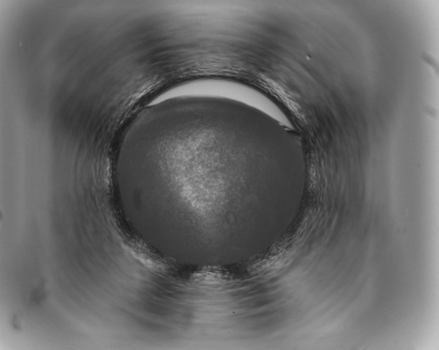 X0000095110211200712211328