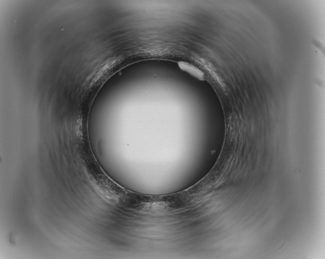 X0000095110212200712211328