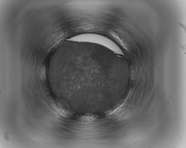 X0000095110213200712211328