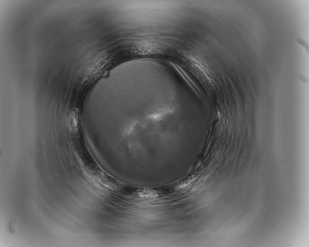 X0000095110214200712211328