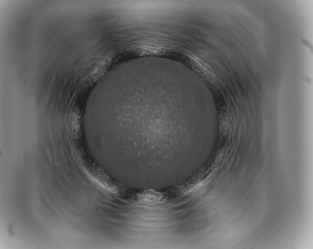 X0000095110215200712211328