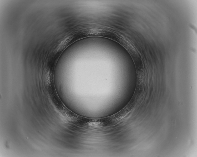 X0000095110216200712211328