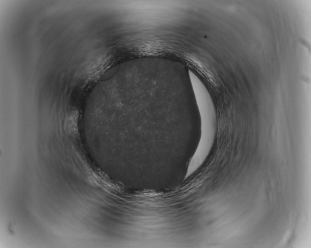 X0000095110217200712211328