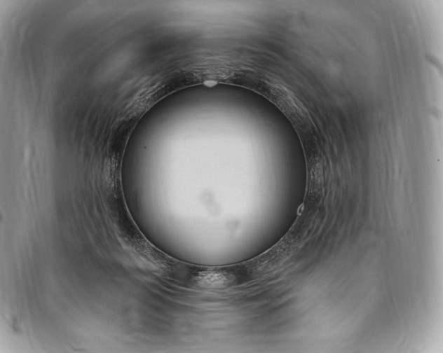 X0000095110218200712211328