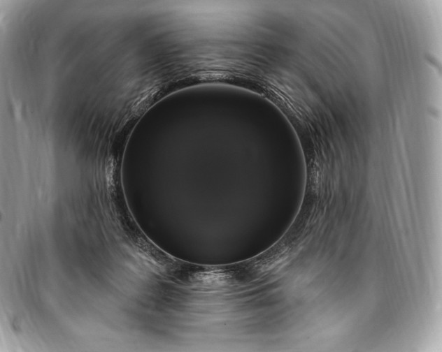 X0000095110219200712211328