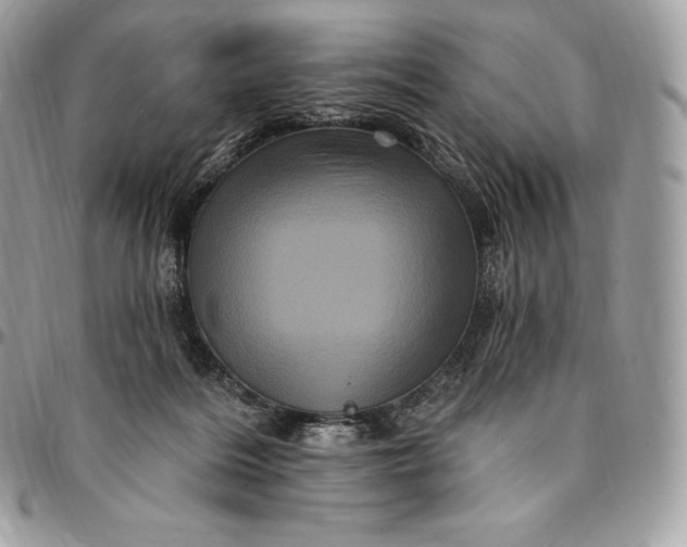 X0000095110220200712211328