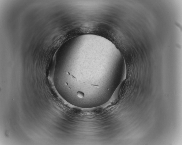 X0000095110221200712211328