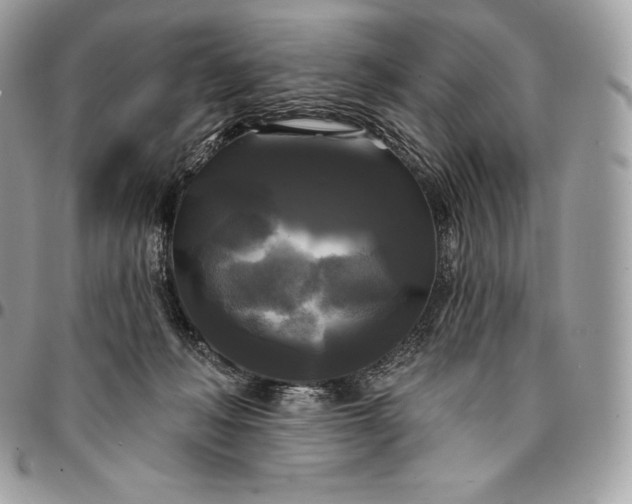 X0000095110222200712211328