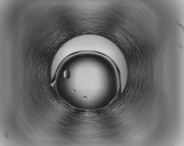 X0000095110223200712211328