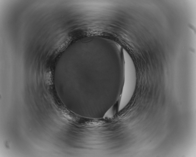 X0000095110224200712211328