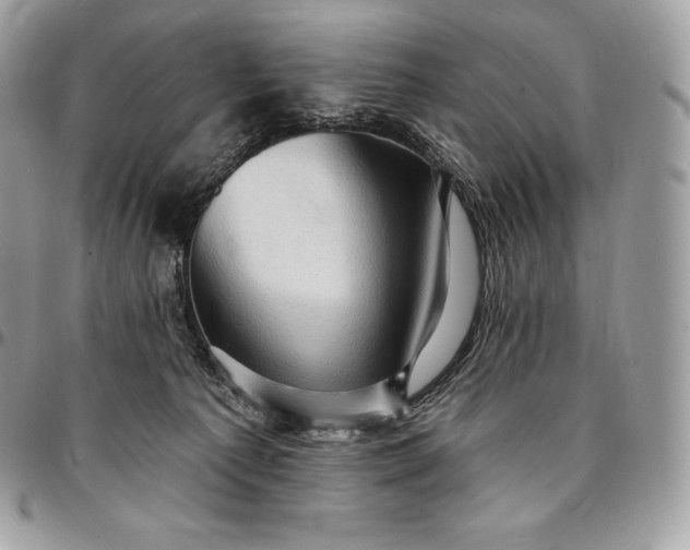 X0000095110225200712211328